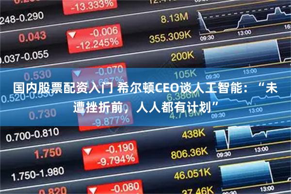 国内股票配资入门 希尔顿CEO谈人工智能：“未遭挫折前，人人都有计划”